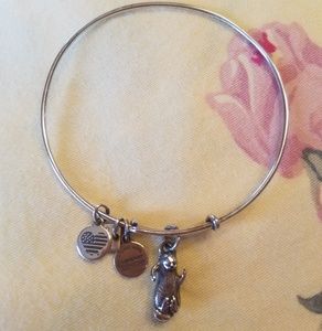 Alex & Ani Otter Bracelet
